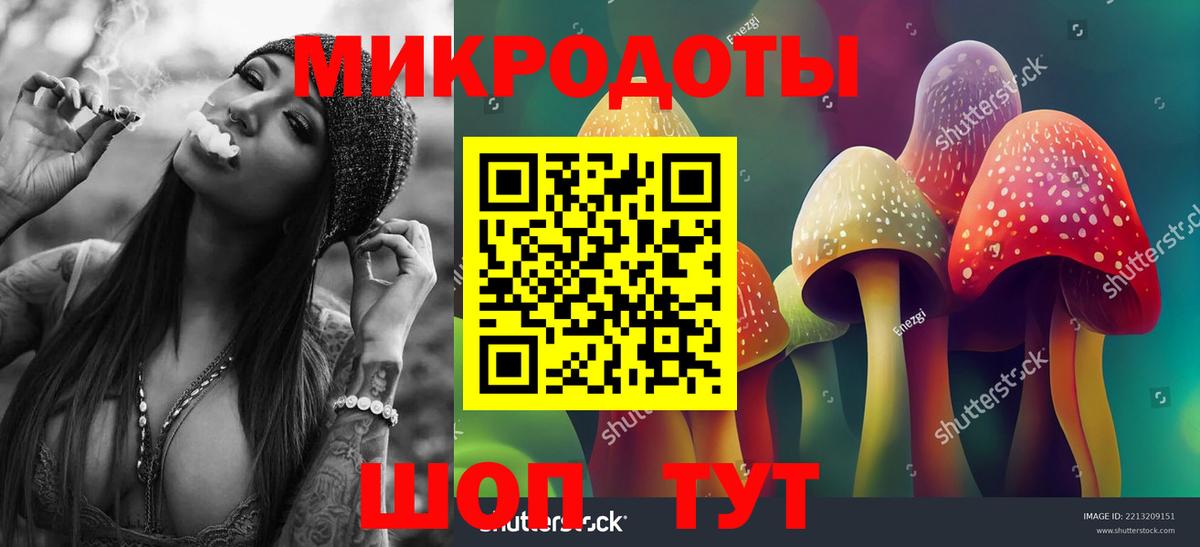 Галлюциногенные грибы Psilocybine cubensis Елизово