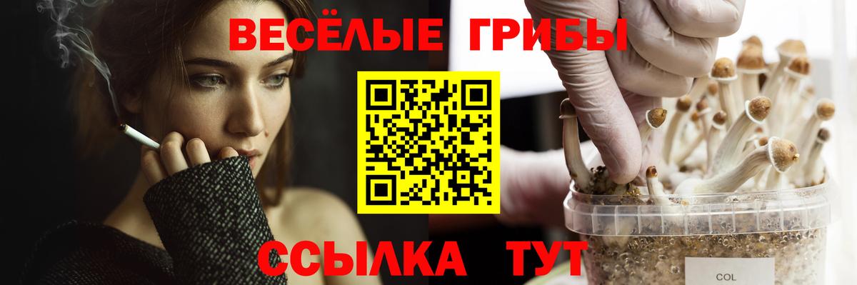 наркотики  Псилоцибиновые грибы мицелий  Вход с VPN  Елизово 
